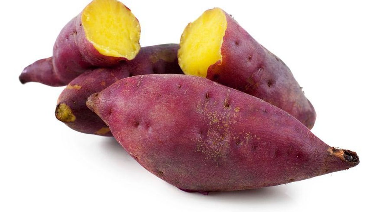 Red Sweet Potato Inaexport